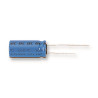 Vishay (MAL215267109E3) Electrolytic Capacitor, 10 µF, 450 V