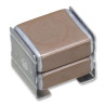 TDK (CKG57NX7S1C107M500JH) Multilayer Ceramic Capacitor, 100 µF