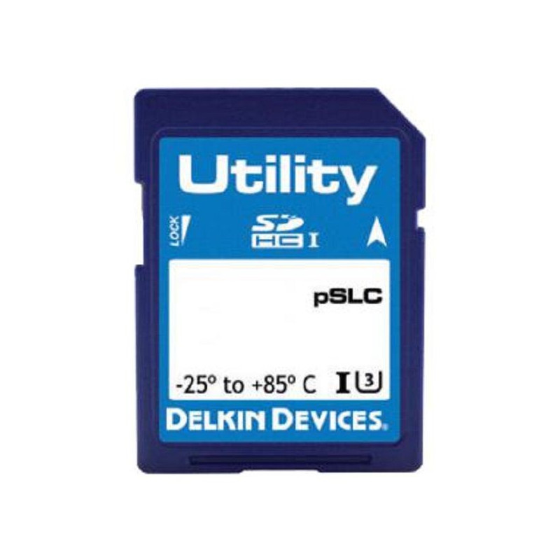 Delkin Devices (SF04APGJN-U3000-3) Flash Memory Card, SDHC Card, 4 GB