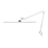 Lightcraft (LC8015LED) Task Lamp, LED, Professional, 120 Vac to 240 Vac