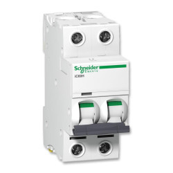 Schneider Electric (A9F54210) Thermal Magnetic Circuit Breaker, 10A, 2 Pole