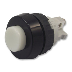 Rafi (1.10.001.001/0205) Pushbutton Switch, 15.2 mm, SPST-NO, Off-(On)