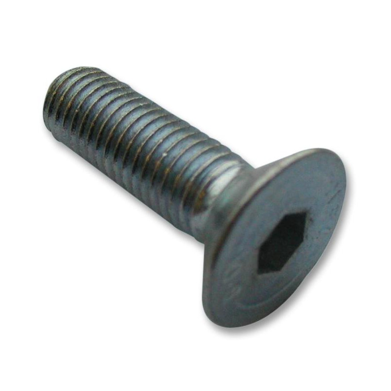 TR Fastenings (M5 25 KH10MC S100) Socket Screw  25 mm  M5  Pack of 100