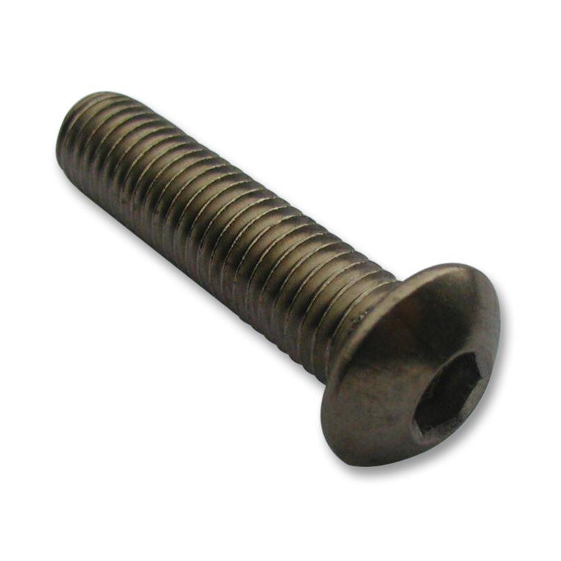 TR Fastenings (M48 BHA2MCS100-) Socket Screw