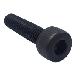 TR Fastenings (M4 16 SO12CS Z100) Socket Screw  Cap  Hex Socket