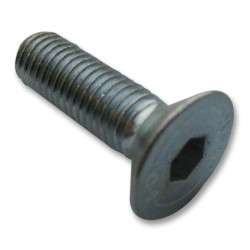 TR Fastenings (M5 25 KH10MC S100) Socket Screw  25 mm  M5  Pack of 100