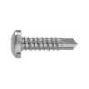 TR Fastenings (3.9 X 38 PTSTDX Z100 DIN7504) Pan Head Screws