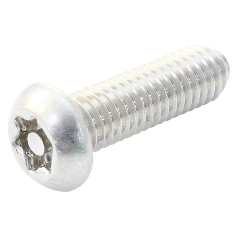 TR Fastenings (M6 25 M4A2MC S50 BUT T30) Security Screw  Security