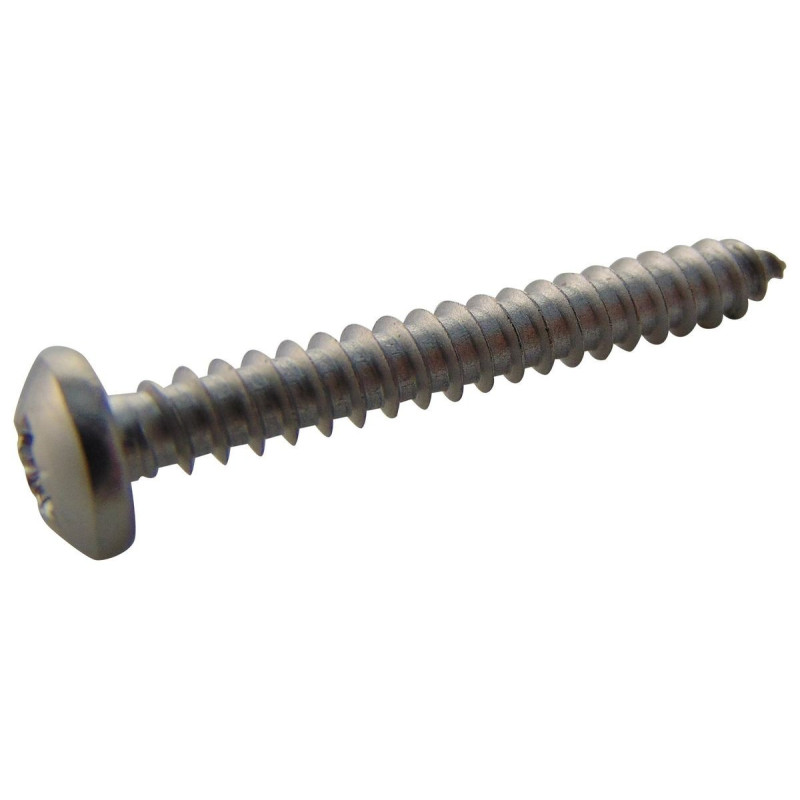 TR Fastenings (N81.250 PRA2ABS100-) Screw  Self-Tapping