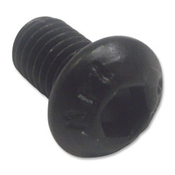 TR Fastenings (M38 BH10MCZ100-) Socket Screws