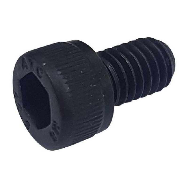 TR Fastenings (M6 10 SO12CS S100) Socket Screw  Cap  Hex Socket