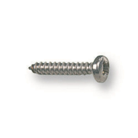 TR Fastenings (N100.500 PRSTABZ100-) Screw  Self-Tapping  No.10  12.7 mm