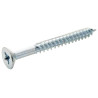 TR Fastenings (N6 1.000 KRSTWT Z100) Screw  Wood  Pozidriv