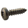 TR Fastenings (N60.500 PRA2ABS100-) Screw  Self-Tapping  No.6  12.7 mm