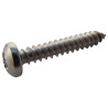 TR Fastenings (N81.000 PRA2ABS100-) Screw  Self-Tapping  No.8  25 mm