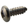 TR Fastenings (N80.500 PRA2ABS100-) Screw  Self-Tapping  No.8  12.7 mm