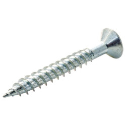 TR Fastenings (N8 1.000 KRSTWT Z100) Screw  Wood