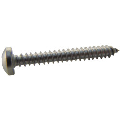 TR Fastenings (N101.500 PRA2ABS100-) Screw  No.10  38 mm