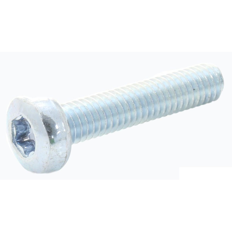 TR Fastenings (M420PTSTMCZ100-) Machine Screws  M4  20 mm