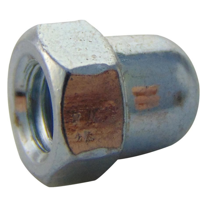 TR Fastenings (M5- DNST-Z100-) Nut  Dome  M5  Steel