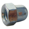 TR Fastenings (M5- DNST-Z100-) Nut  Dome  M5  Steel