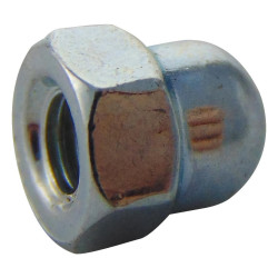 TR Fastenings (M4- DNST-Z100-) Nut  Dome  M4  Steel