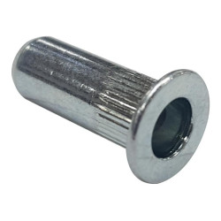 TR Fastenings (W/M10/FLG/CE/ST/KG) Rivet Nut  Blind  Flange