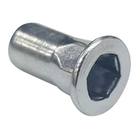 TR Fastenings (W/M10/FLGXE/OE/ST/PG) Rivet Nut  Blind  Flange