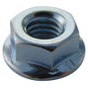 TR Fastenings (M6- SFST-Z100-) Flange Nut  Serrated  M6