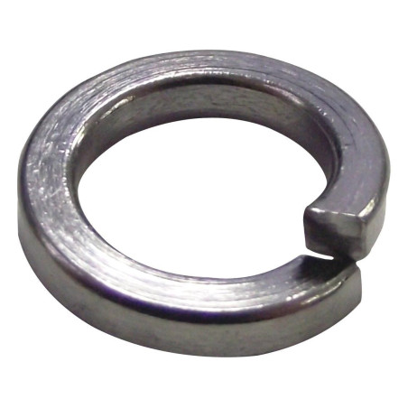 TR Fastenings (DM3 - DSSA2WA - S100) Spring Washer  Stainless Steel