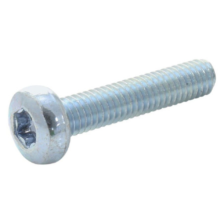 TR Fastenings (M2.520PRSTMCZ100-) Machine Screw  DIN 7985  M2.5