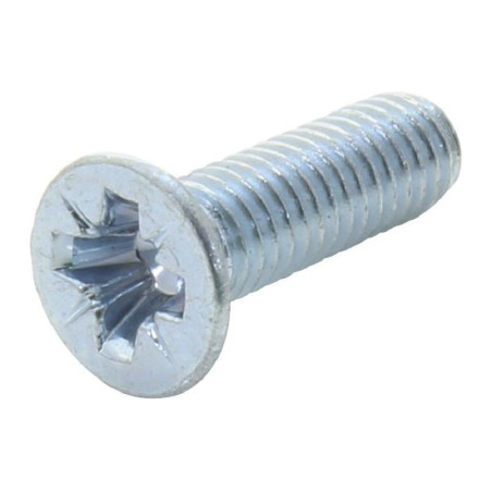 TR Fastenings (M2.56KRSTMCZ100-) Machine Screw  DIN 965  M2.5  6 mm