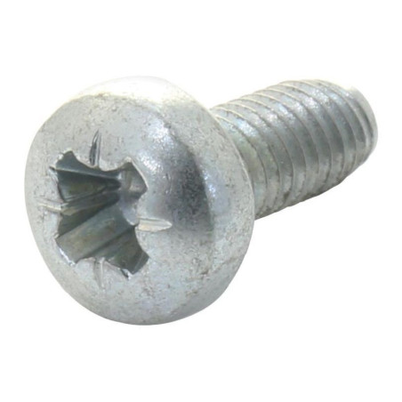 TR Fastenings (M2.58PRSTTTZ100-) Screw  DIN7500  M2.5  8 mm