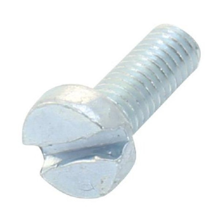 TR Fastenings (M38 CSSTMCZ100-) Machine Screw  M3  8 mm