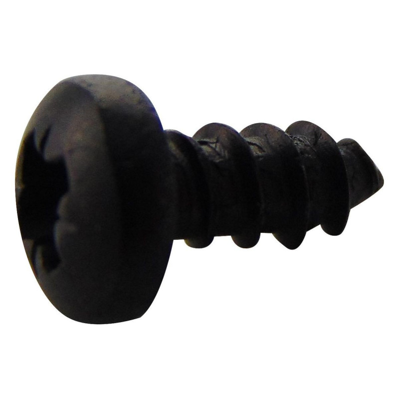 TR Fastenings (N40.250 PRSTABB100-) Screw  No.4  6.35 mm