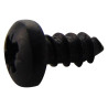 TR Fastenings (N40.250 PRSTABB100-) Screw  No.4  6.35 mm