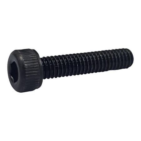 TR Fastenings (M3 10 SO12CS S100) Socket Screw  Cap