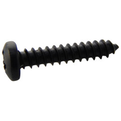 TR Fastenings (N60.750 PRSTABB100-) Screw  Self-Tapping  No.6  19 mm