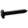 TR Fastenings (N60.750 PRSTABB100-) Screw  Self-Tapping  No.6  19 mm