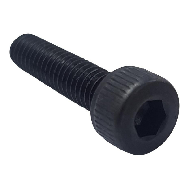 TR Fastenings (M4 16 SO12CS S100) Socket Screw  Cap