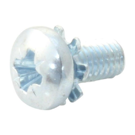 TR Fastenings (M36PRSTEXZ100-) Machine Screw  Shake Proof Washer