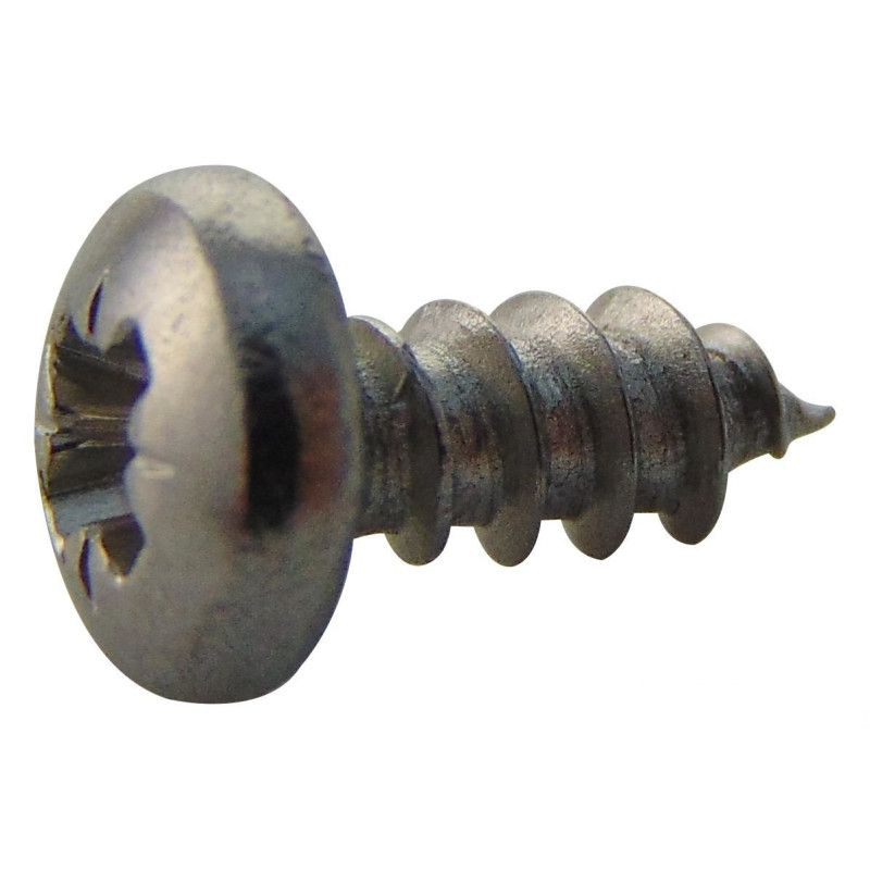 TR Fastenings (N40.250 PRA2ABS100-) Screw  Self-Tapping  No.4  6.35 mm