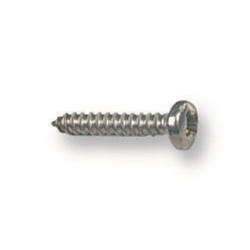 TR Fastenings (N40.250 PRSTABZ100-) Screw  No.4  6.35 mm