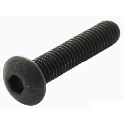 TR Fastenings (M4 20 BH10MC S100) Hex Screw  Button Head