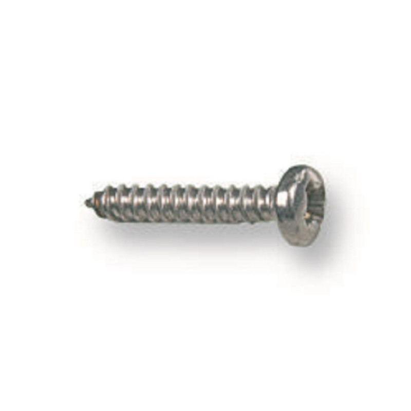 TR Fastenings (N60.500 PRSTABZ100-) Screw  Self-Tapping  No.6  12.7 mm