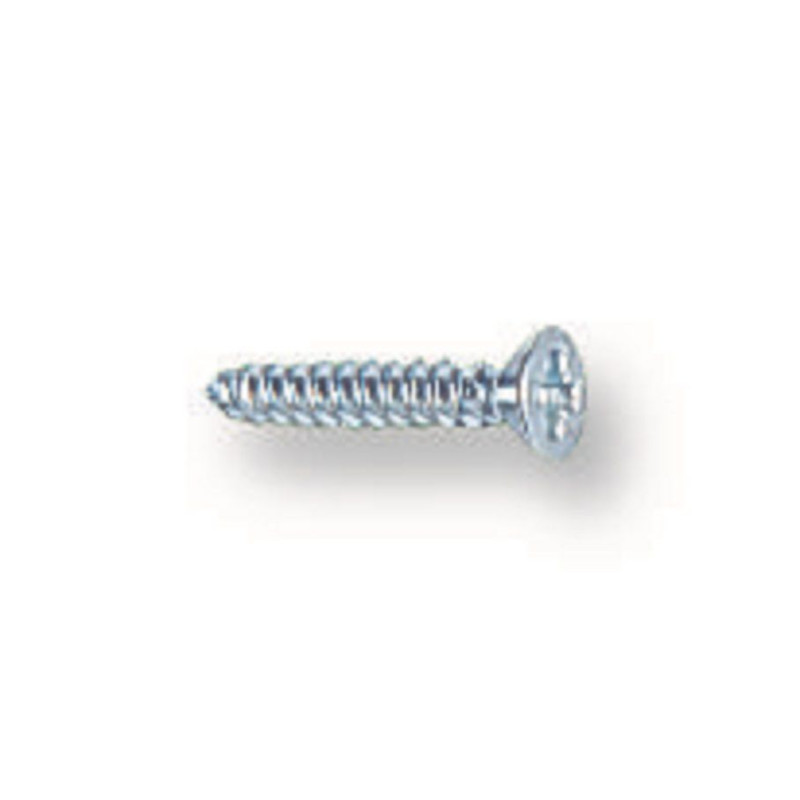 TR Fastenings (N40.250 KRSTABZ100-) Screw  No.4  6.35 mm