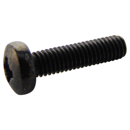 TR Fastenings (M312 PRSTMCB100-) Machine Screw  M3  12 mm