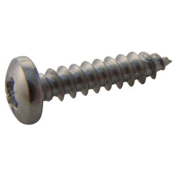 TR Fastenings (N40.500 PRA2ABS100-) Screw  Self-Tapping  No.4  12.7 mm