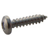 TR Fastenings (N40.500 PRA2ABS100-) Screw  Self-Tapping  No.4  12.7 mm