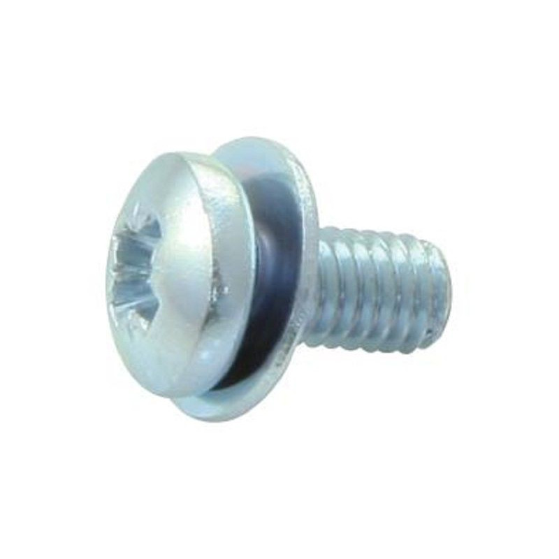 TR Fastenings (M36PRSTPWZ100) Machine Screw  M3  6 mm  Steel